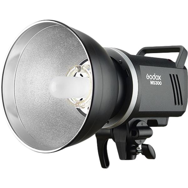 MS300_1