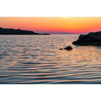 72_0MM_R1_Pro__RED__IN_SQ_CASE_2