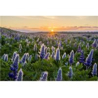 K_Series_Center_GND_Filter_w__Magnetic_Frame_ND0_9_2