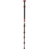 Legends_Ray_Tripod_Bronze_1