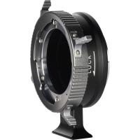 PL_GFX_Adapter_5