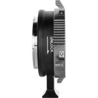 PL_GFX_Adapter_8