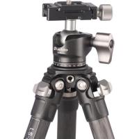Ranger_LS_223C___Ball_Head_LH_25_2