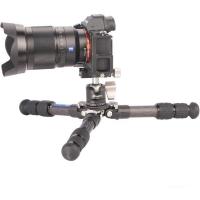Ranger_LS_223C___Ball_Head_LH_25_3