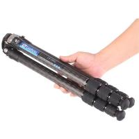 Ranger_LS_284C___Ball_Head_LH_30_4