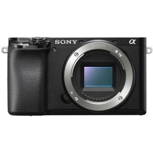 A6100_Body