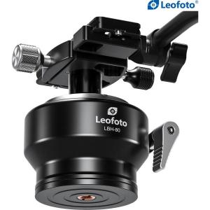 LBH_Ball_Head