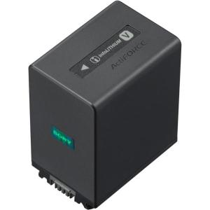 NP_FV100A2_CE_Battery