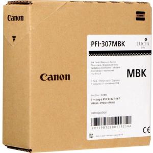 PFI_307_MBK