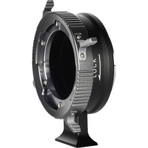 PL_GFX_Adapter_5